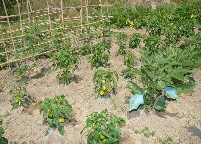 Apartamento Anna Marathias