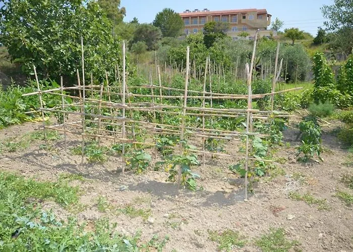 Anna Apartamento Marathias