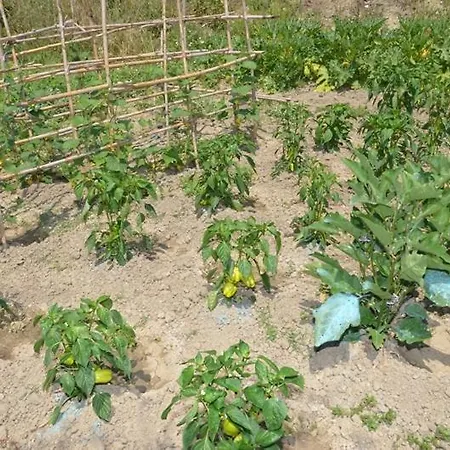 דירה Anna מרטיאס