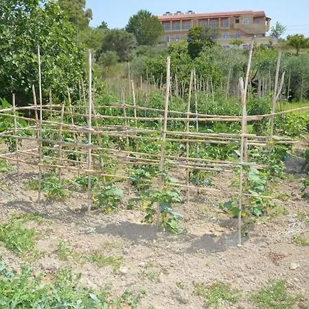 Anna Lejlighed Marathias