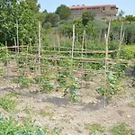 Anna Apartament Marathias