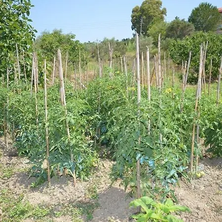 Anna * マラティアス